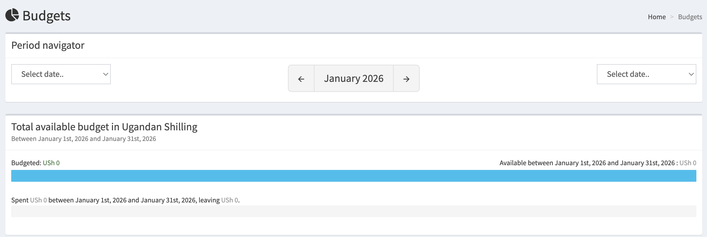 Budget Progress Tracking